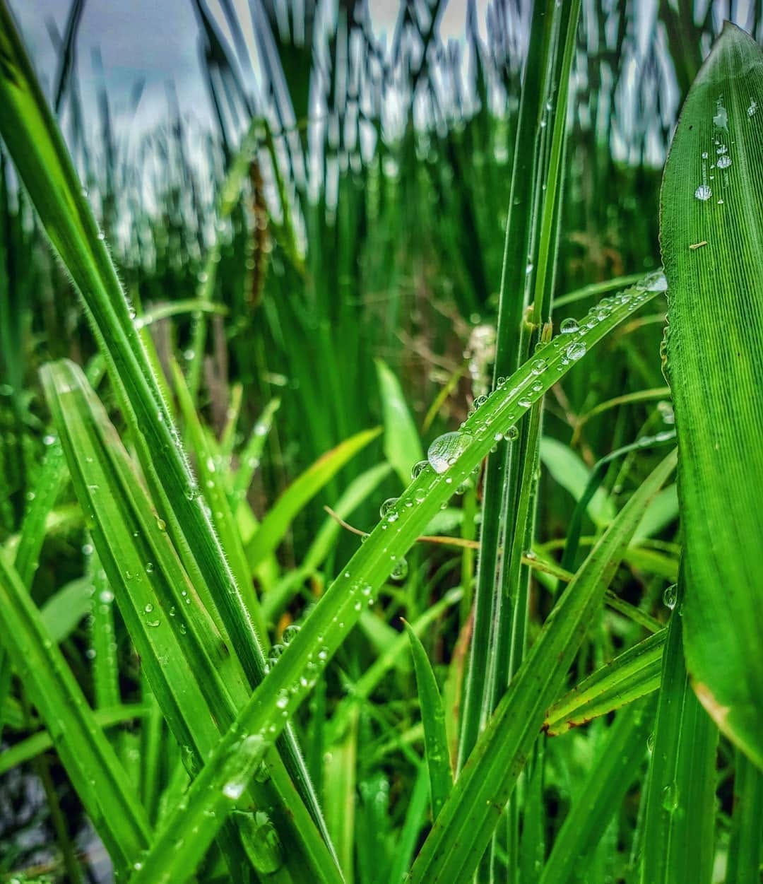 Post 6 by Clancy on Instagram (image)