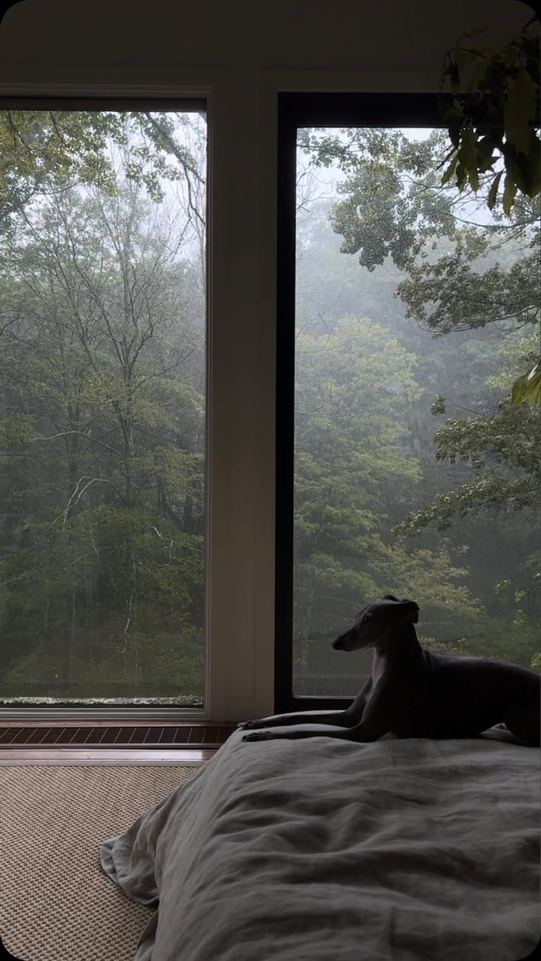Post 9 by Alina Fassakhova on Instagram (video)