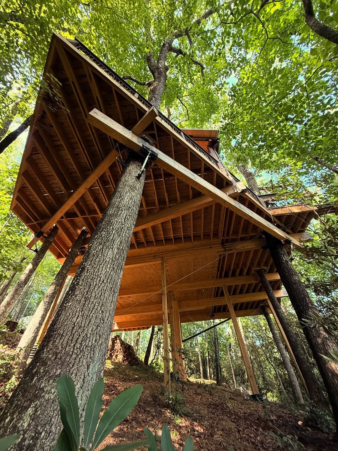 Post 8 by Treehouse Experts on Instagram (carousel)