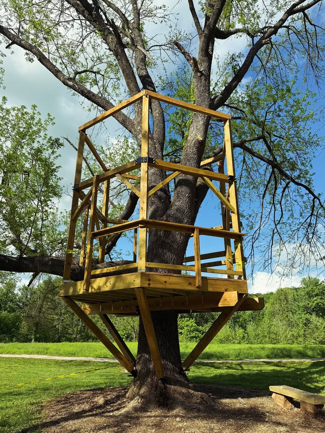 Post 6 by Treehouse Experts on Instagram (carousel)