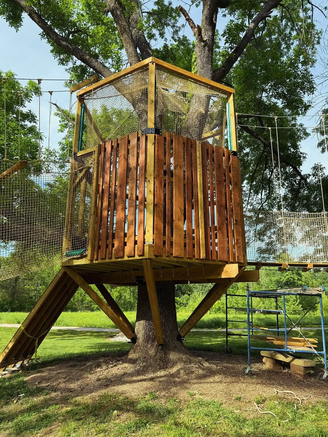 Post 5 by Treehouse Experts on Instagram (carousel)
