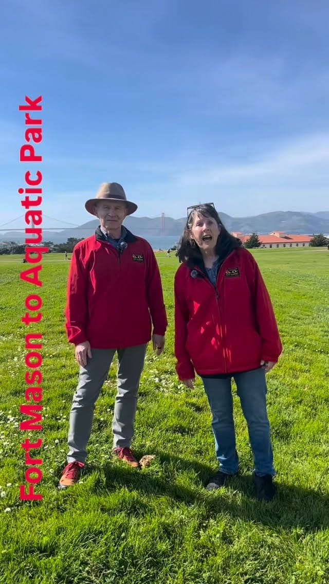 Post 9 by San Francisco City Guides on Instagram (video)
