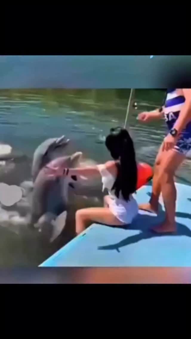 Post 4 by Jose Annel on Instagram (video)