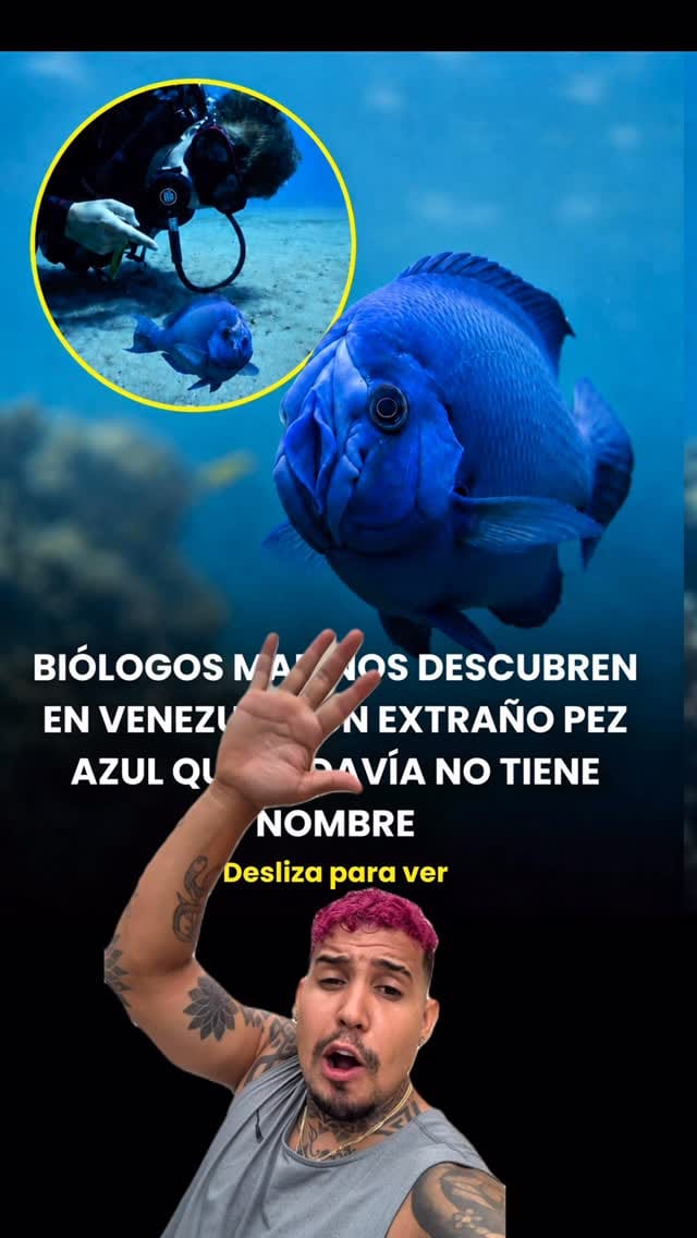 Post 1 by Jose Annel on Instagram (video)
