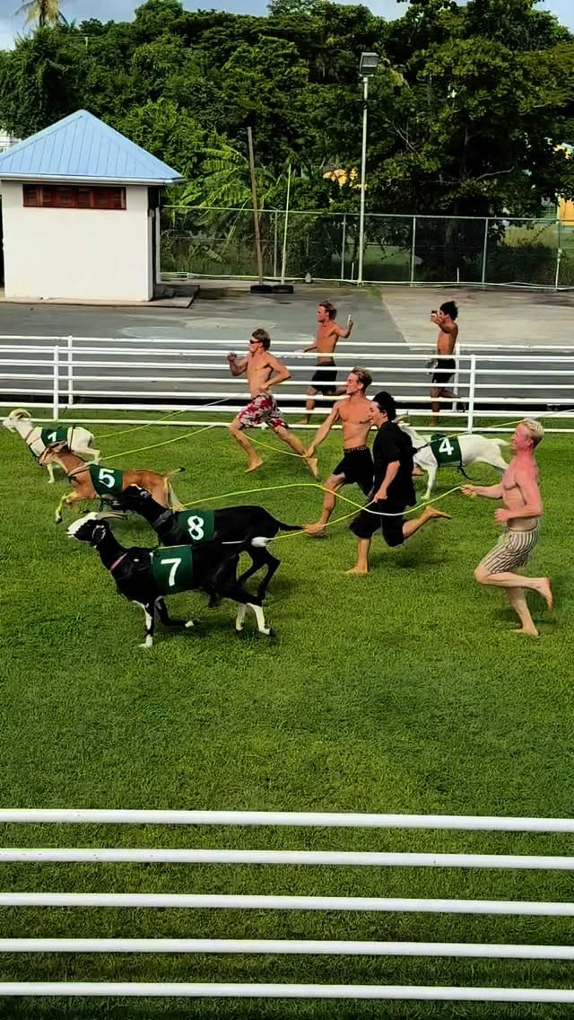 Post 8 by Wesley Preston on Instagram (video)