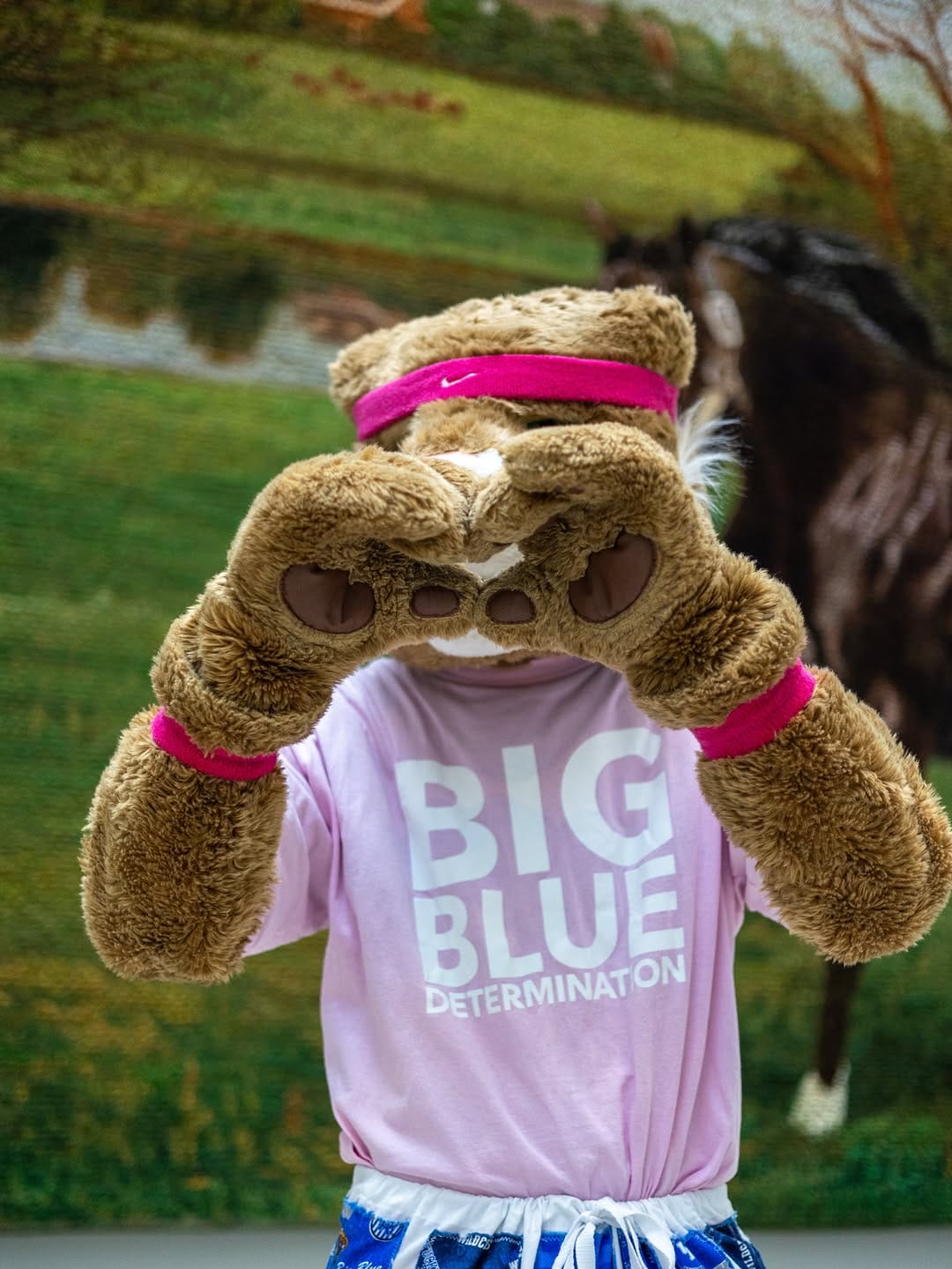 Post 4 by The Kentucky Wildcat on Instagram (image)