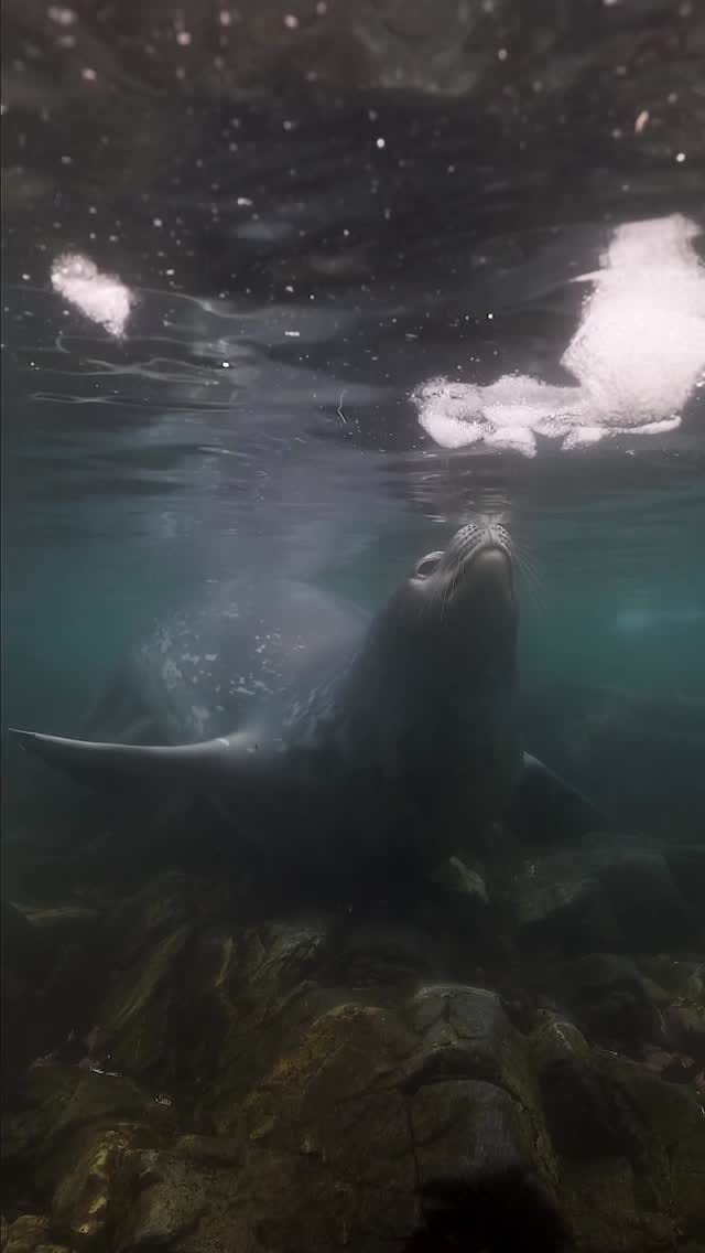 Post 6 by Olivia Miller on Instagram (video)