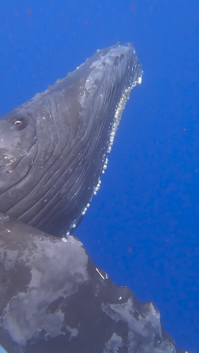 Post 8 by Olivia Miller on Instagram (video)