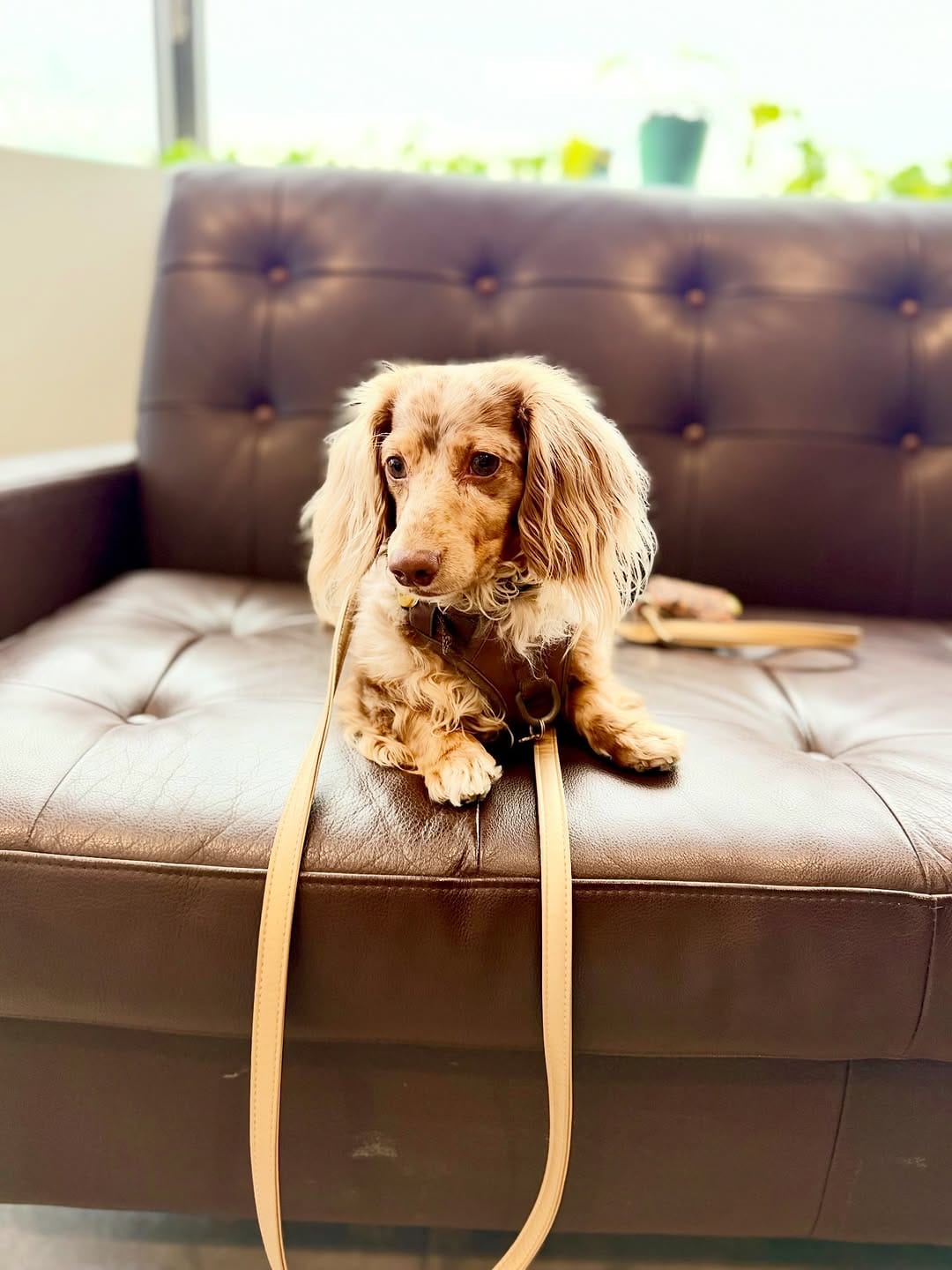 Post 5 by Mr Pickle 🐾 on Instagram (image)