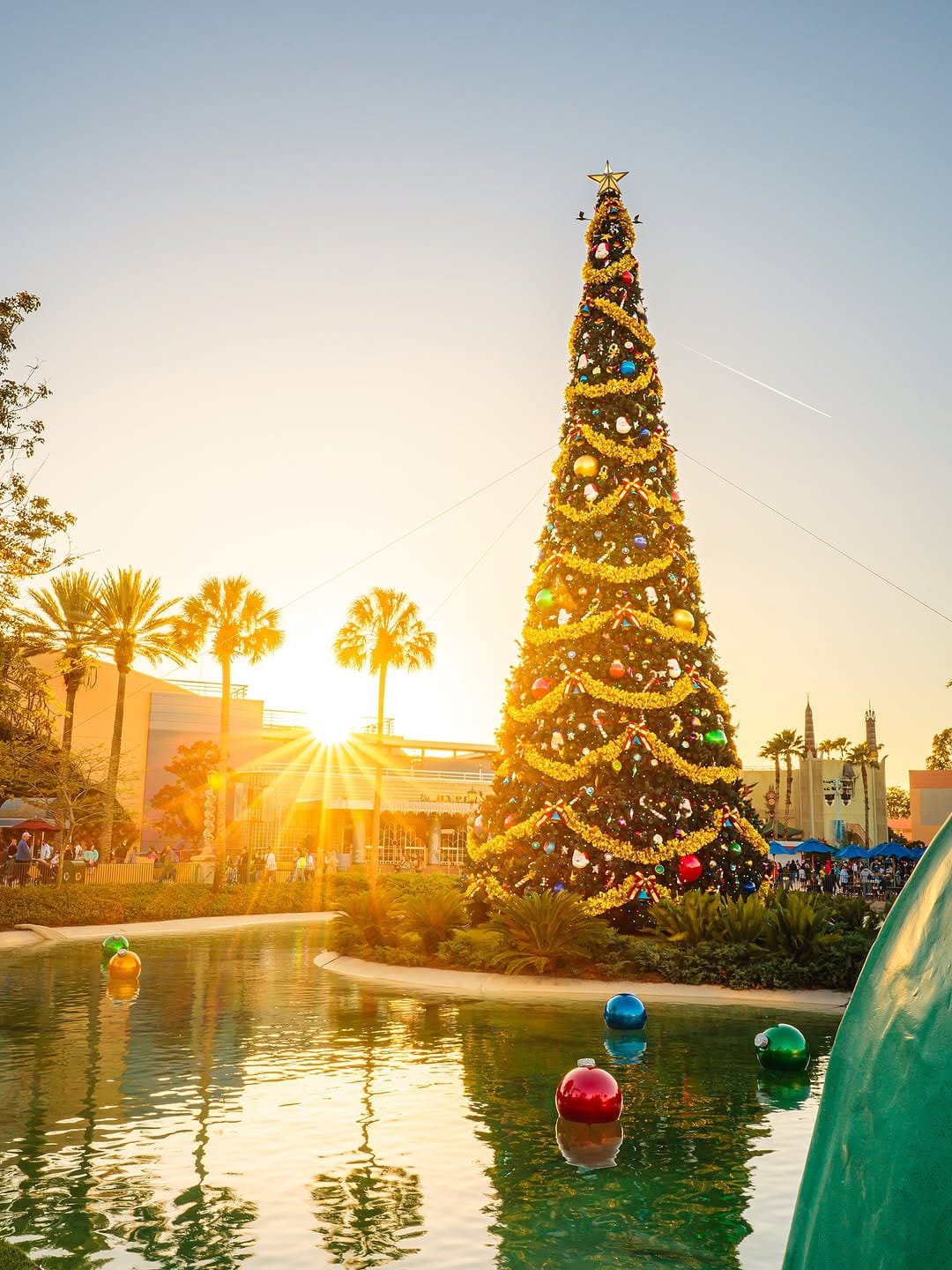 Post 10 by DisneyontheLow on Instagram (image)