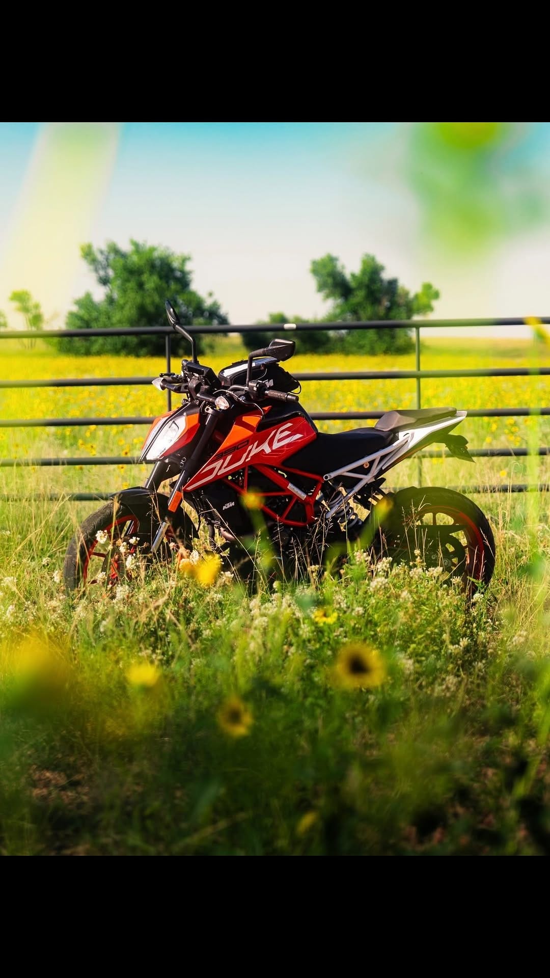 Post 10 by Connor Fouts | Videographer on Instagram (video)
