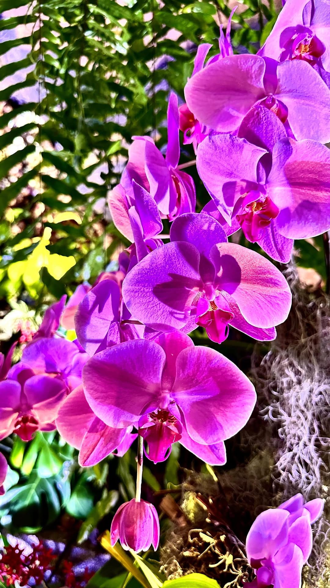Post 4 by Andrea Anika on Instagram (video)