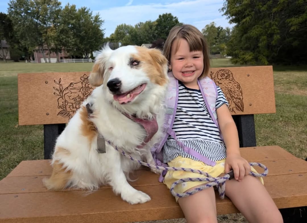Post 1 by Rylee  | Pet Influencer | Friend to All on Instagram (image)