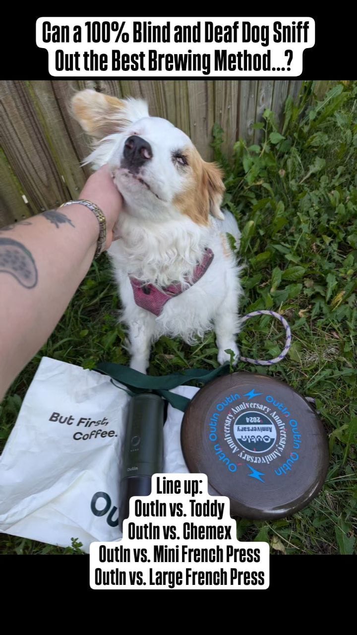 Post 2 by Rylee  | Pet Influencer | Friend to All on Instagram (video)