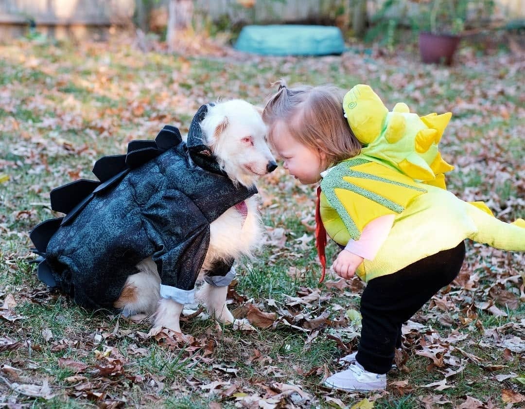 Post 9 by Rylee  | Pet Influencer | Friend to All on Instagram (image)