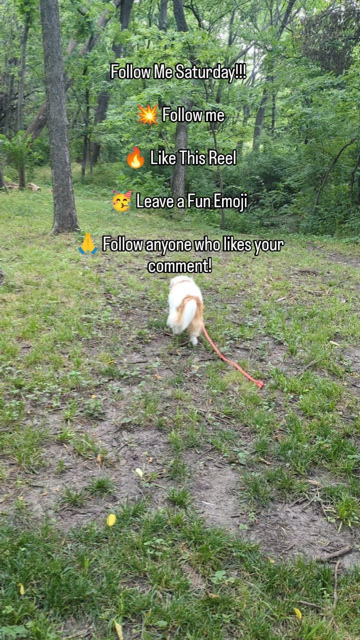 Post 7 by Rylee  | Pet Influencer | Friend to All on Instagram (video)