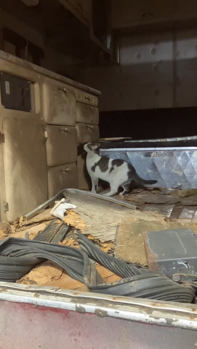 Post 7 by Smokin' S Customs, LLC on Instagram (video)