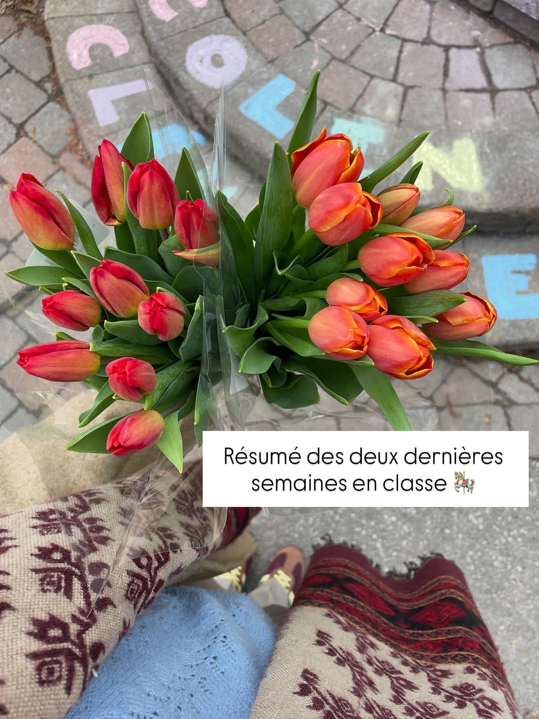 Post 4 by Madame Annie | 5e année 🍎 on Instagram (carousel)
