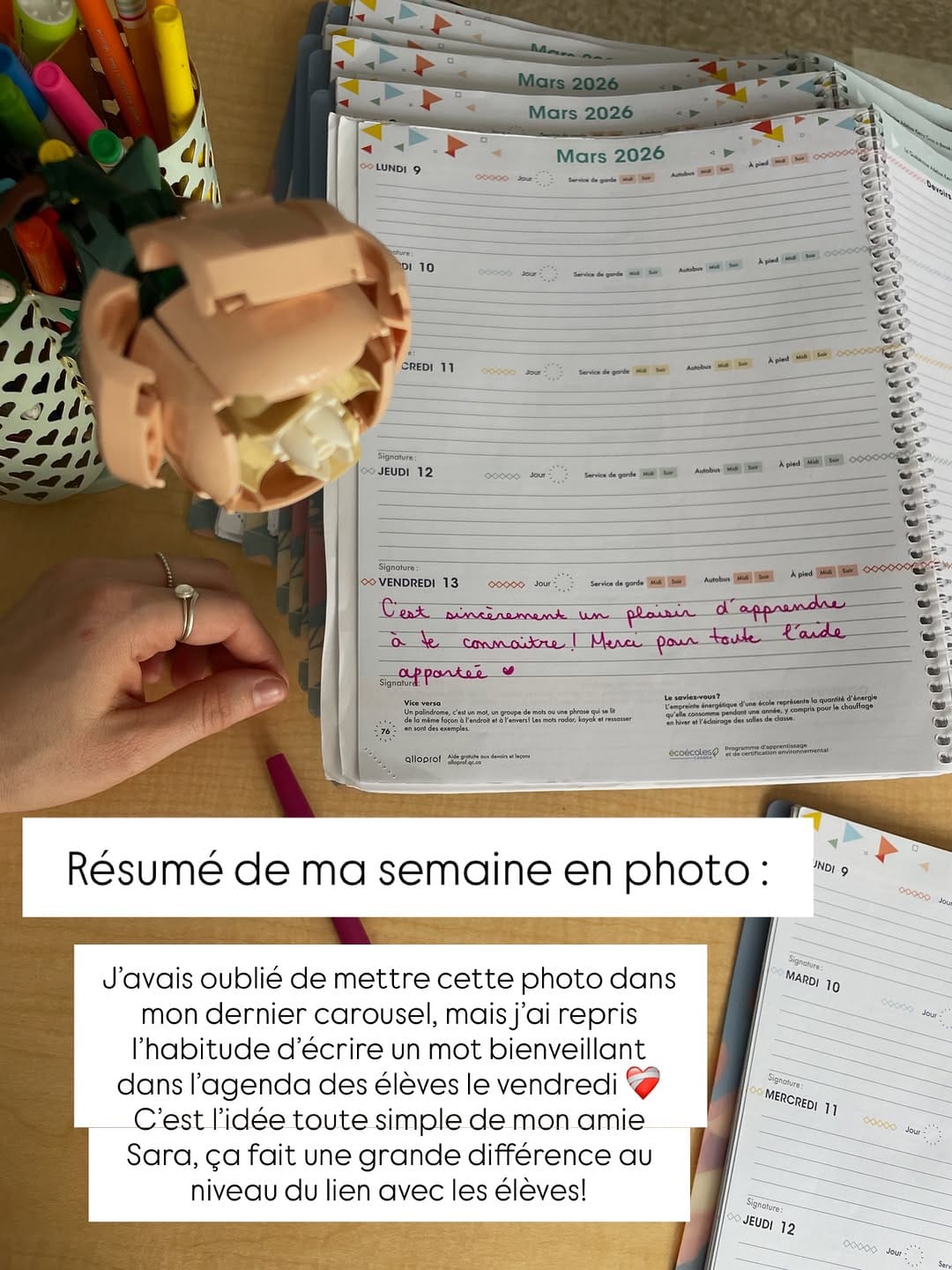 Post 6 by Madame Annie | 5e année 🍎 on Instagram (carousel)
