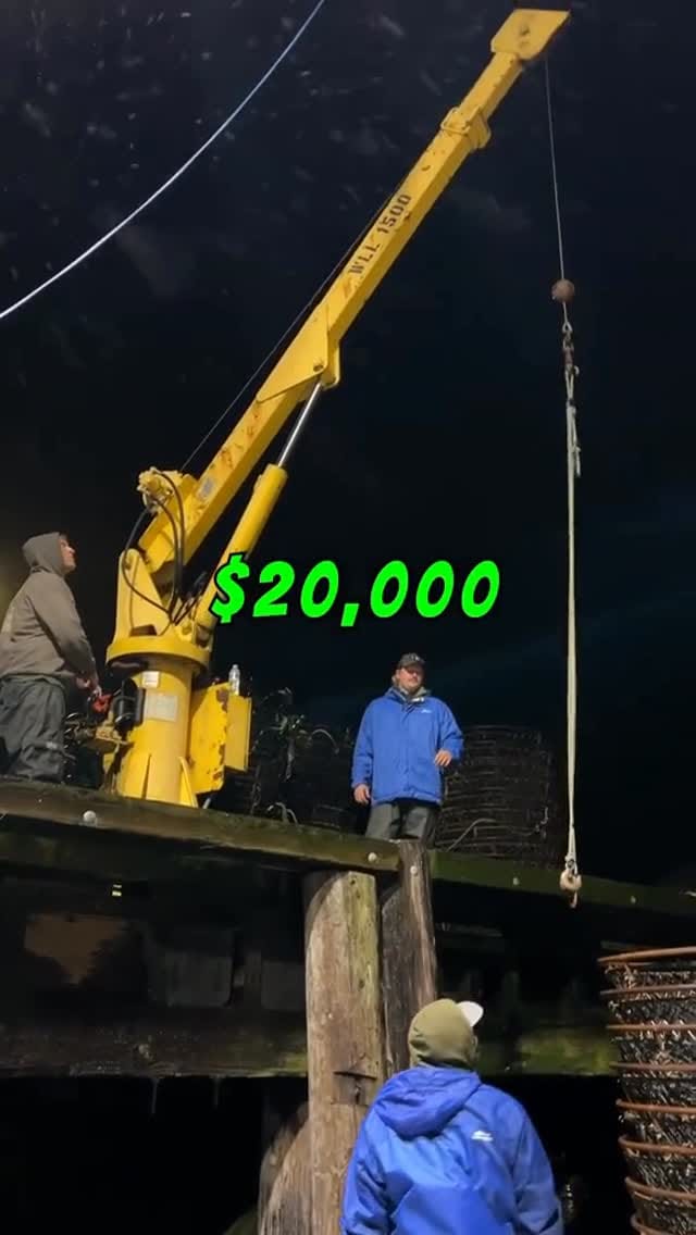 Post 3 by Kyle Lee on Instagram (video)