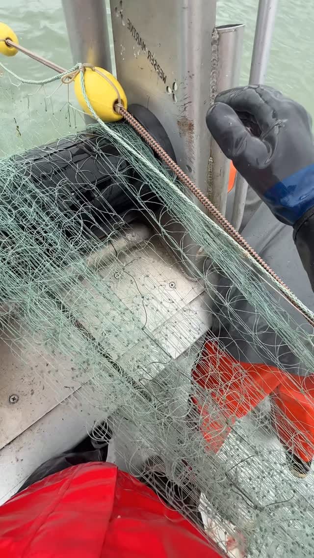 Post 9 by Kyle Lee on Instagram (video)