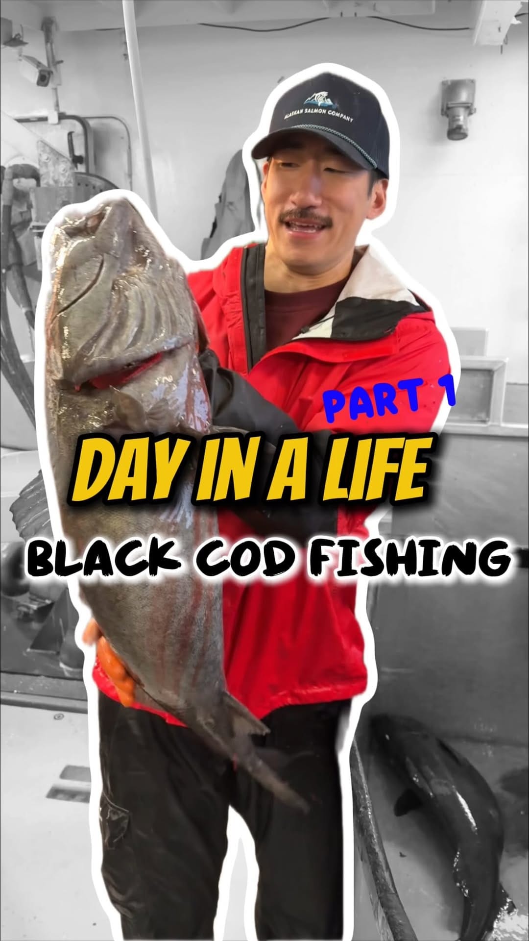 Post 7 by Kyle Lee on Instagram (video)