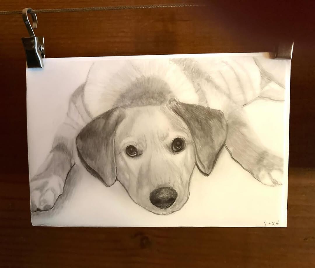 Post 7 by Tammy Keefer on Instagram (image)