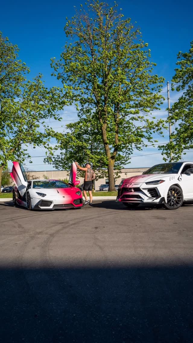 Post 2 by Stanislav Kravtchouk on Instagram (video)