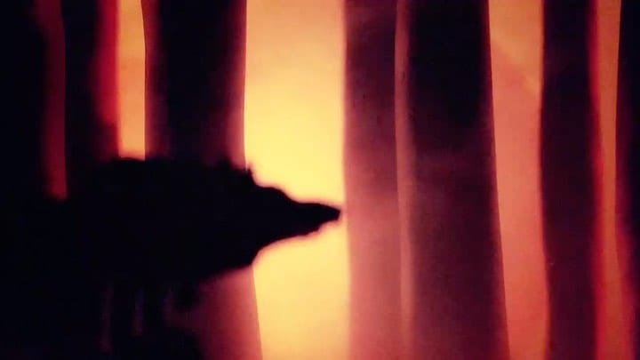 Post 10 by Sean Pecknold on Instagram (video)