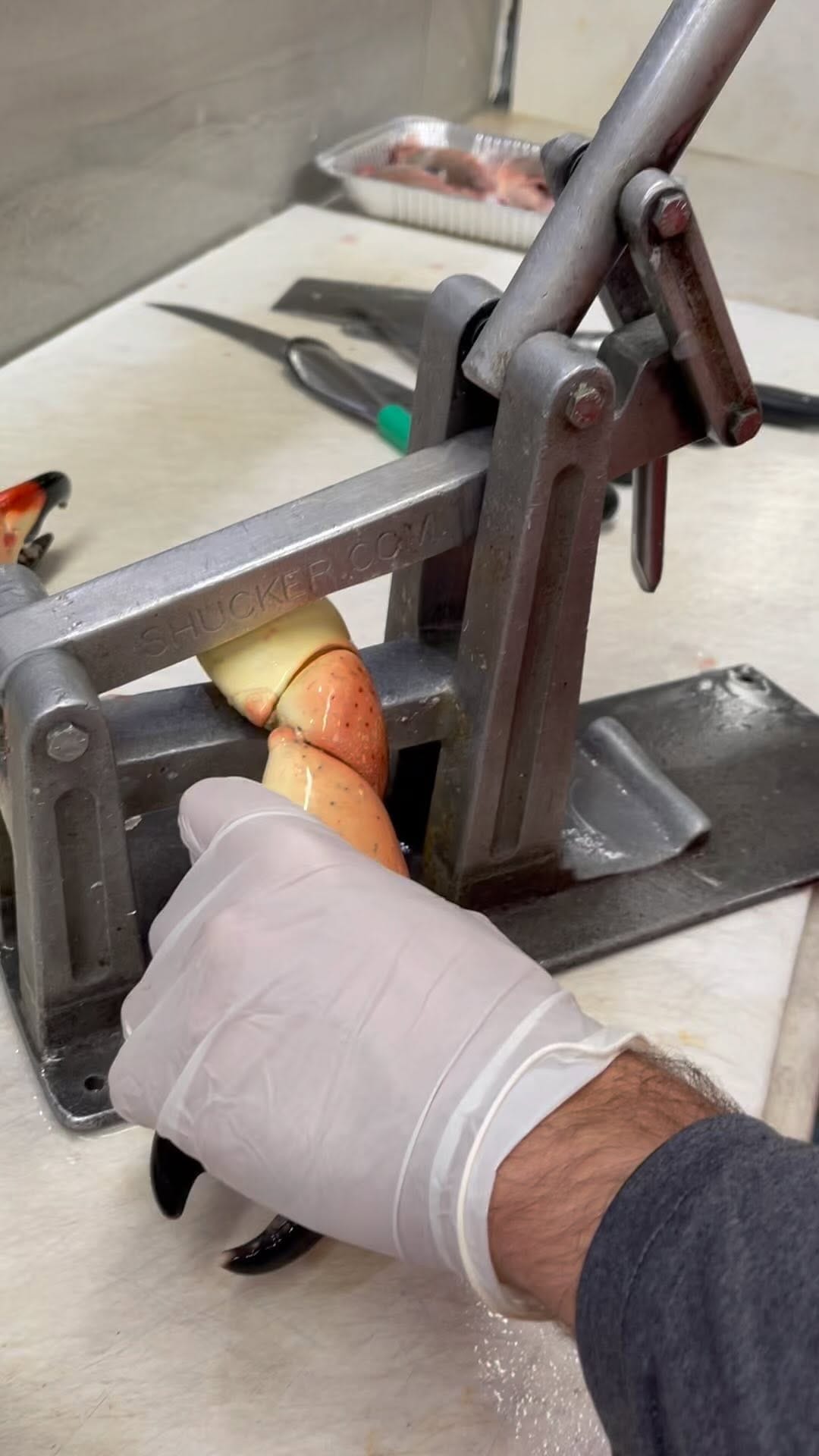 Post 10 by Fresh Florida Fisheries on Instagram (video)