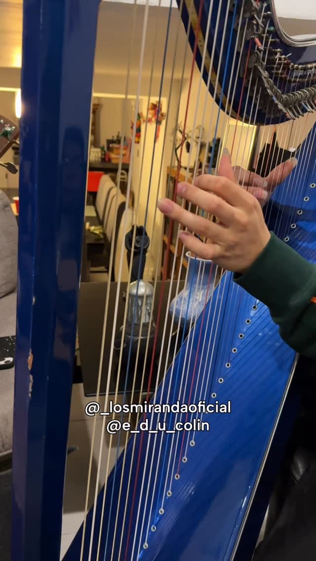 Post 4 by Eduardo Colin on Instagram (video)
