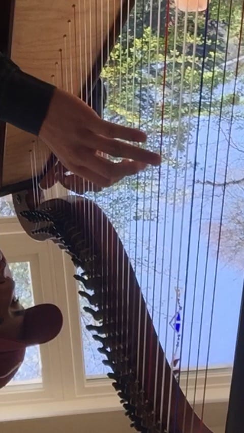 Post 10 by Eduardo Colin on Instagram (video)