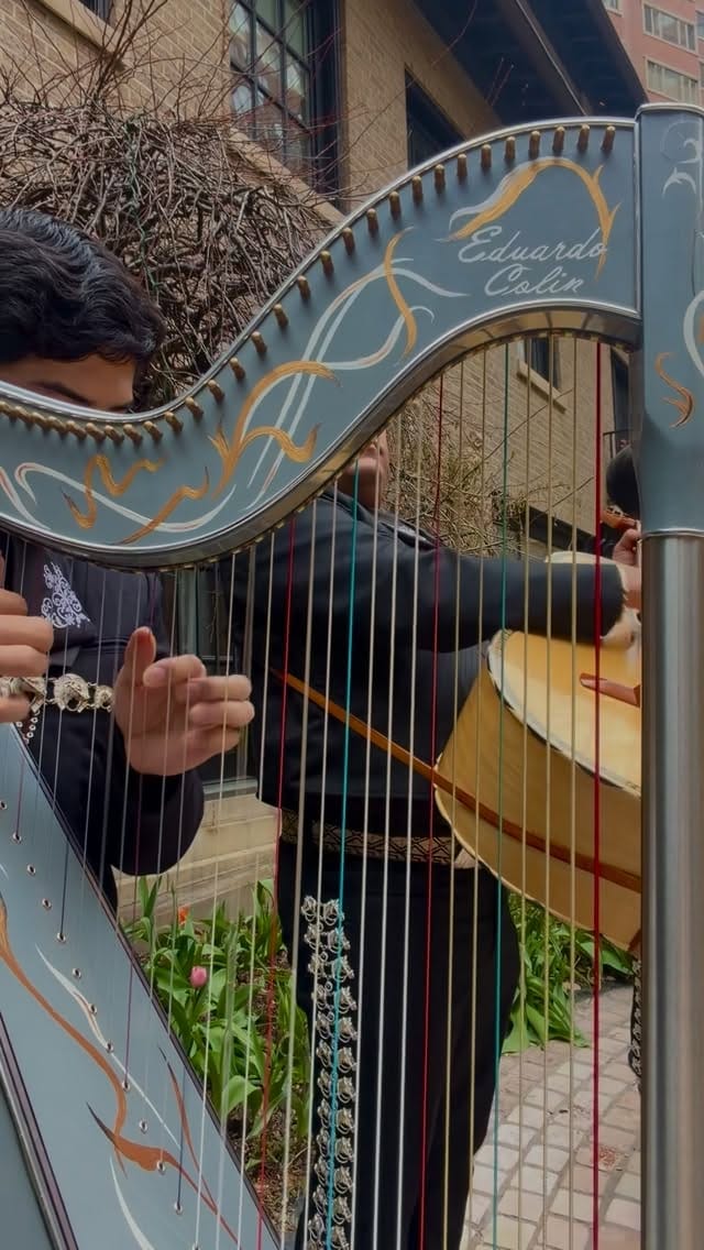 Post 2 by Eduardo Colin on Instagram (video)