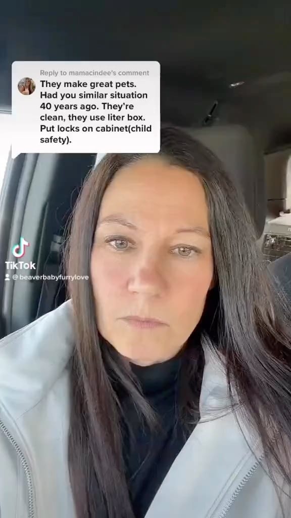 Post 6 by Raising The Wild 🦫 on Instagram (video)