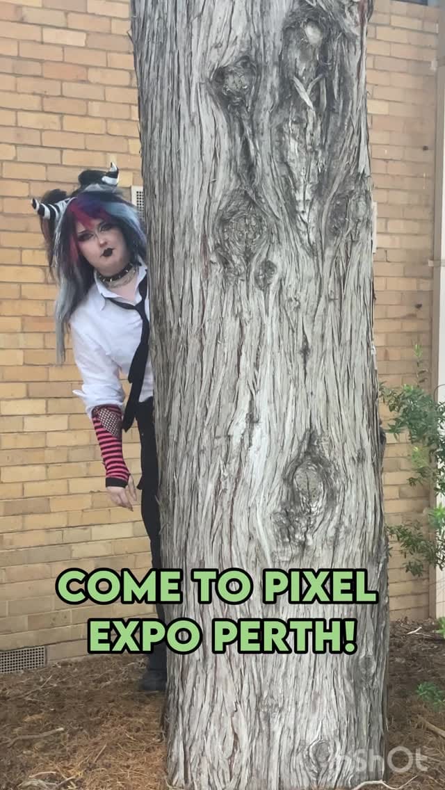Post 2 by Pixel Expo on Instagram (video)