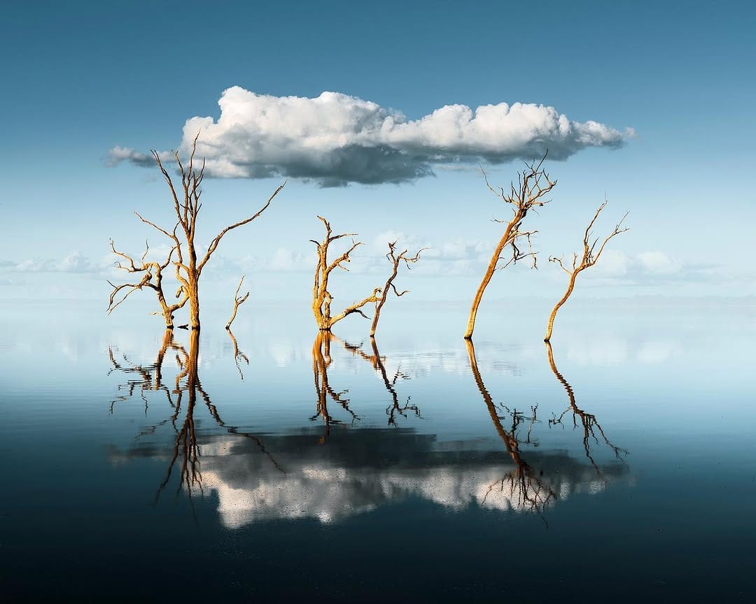 Post 8 by Benjamin Goode on Instagram (image)