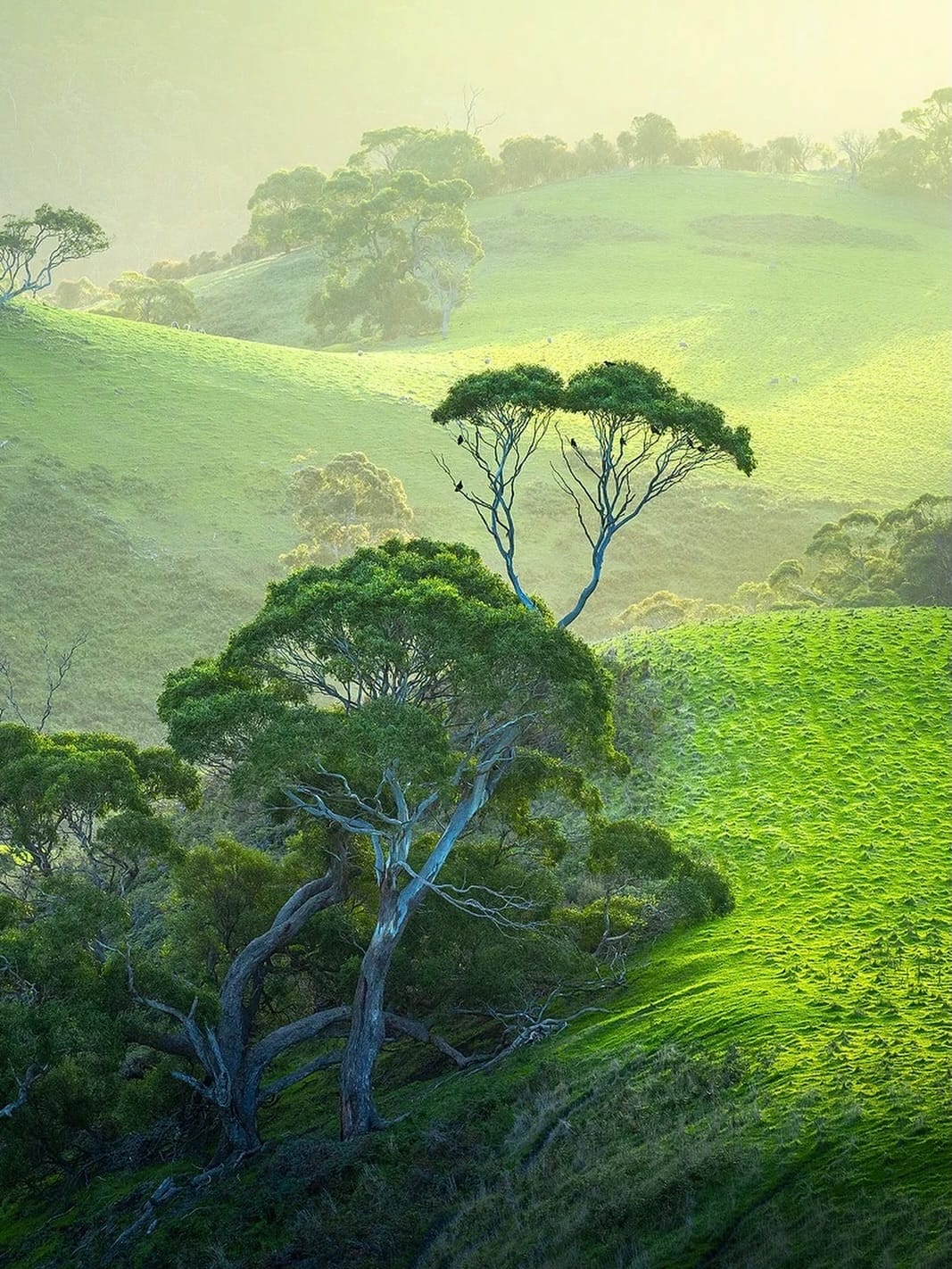 Post 4 by Benjamin Goode on Instagram (image)
