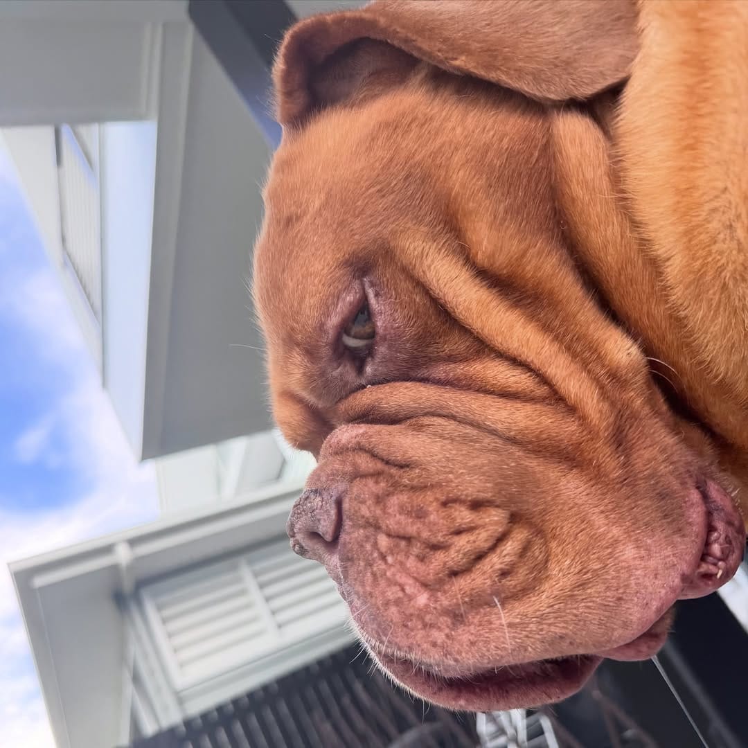 Post 1 by Louis from Brisbane on Instagram (image)