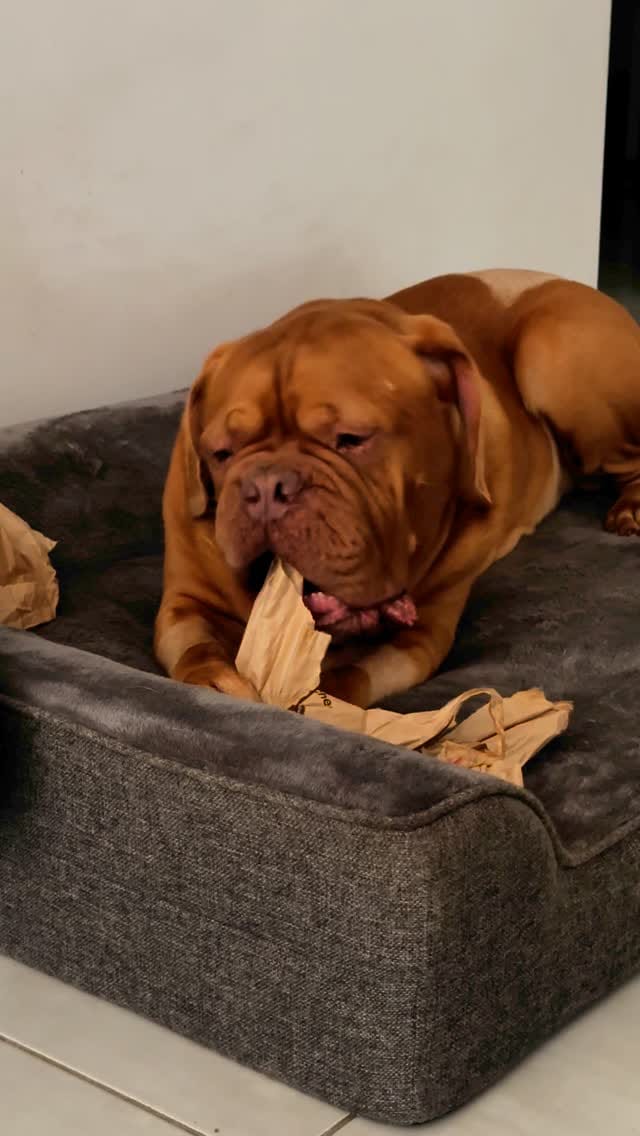 Post 10 by Louis from Brisbane on Instagram (video)