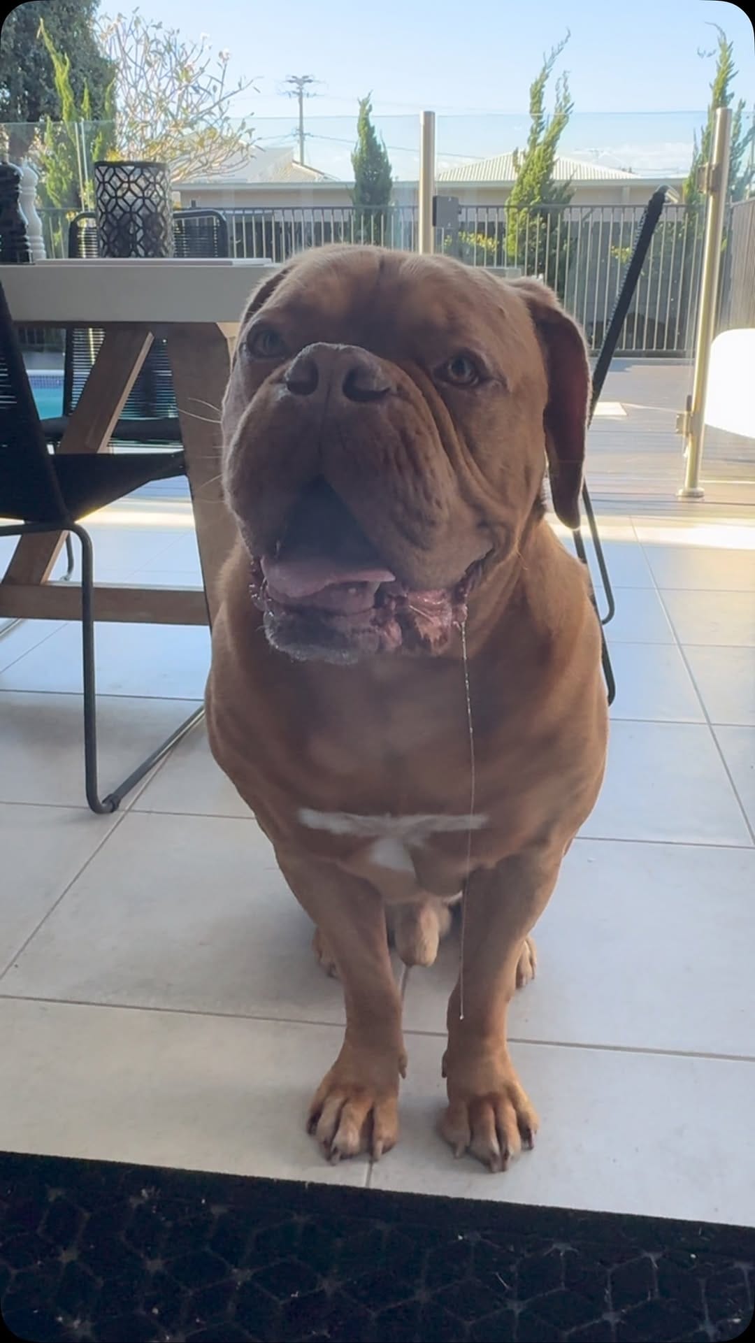 Post 5 by Louis from Brisbane on Instagram (video)