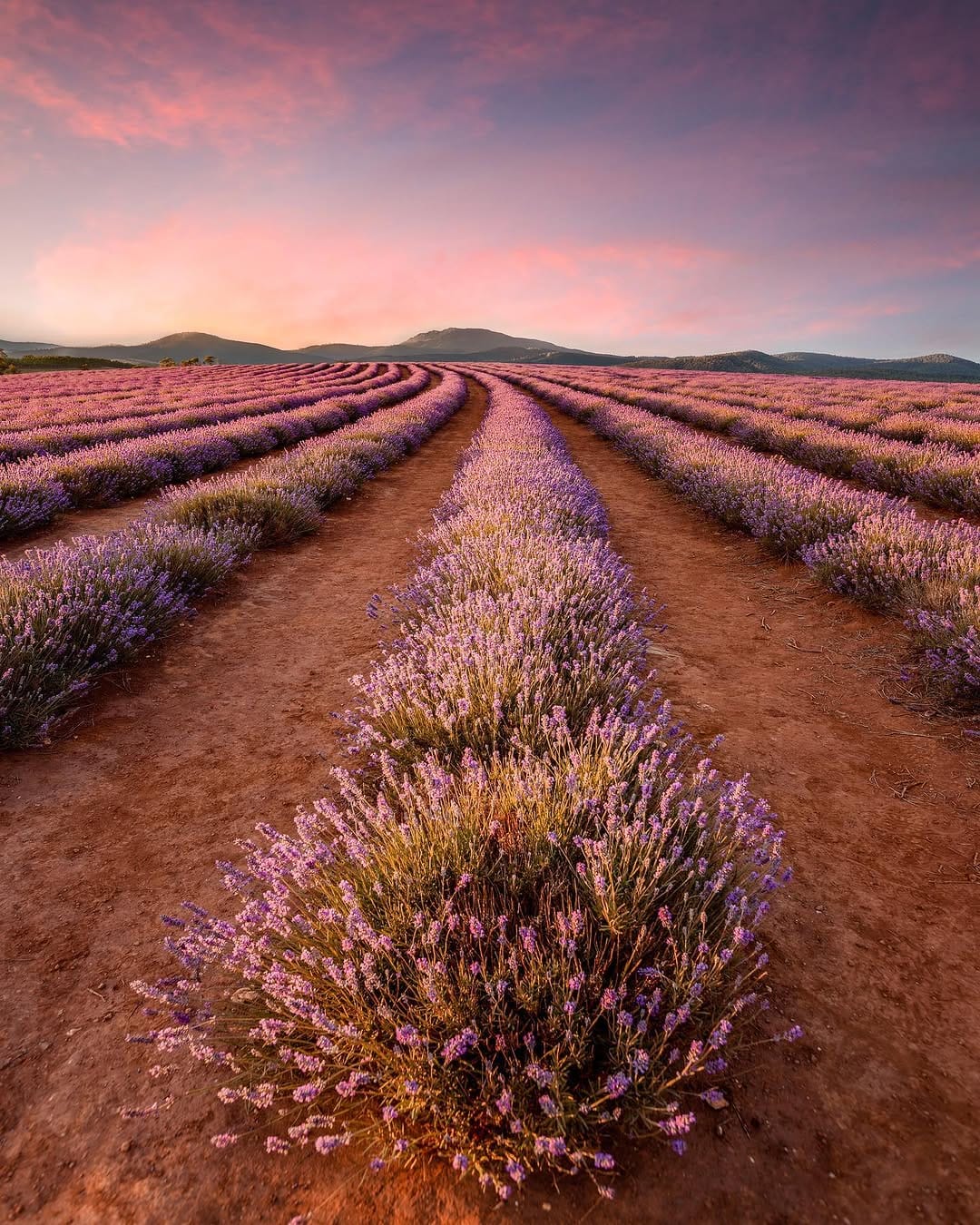 Post 4 by James Kerstan on Instagram (image)
