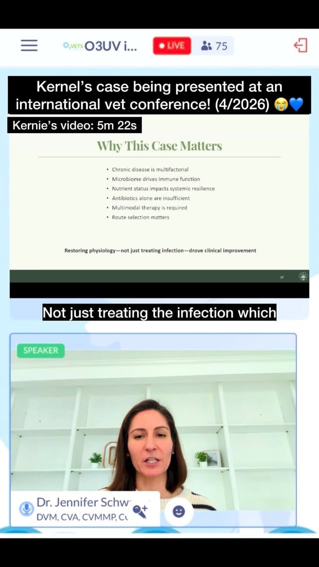 Post 5 by Kernel the Great on Instagram (video)