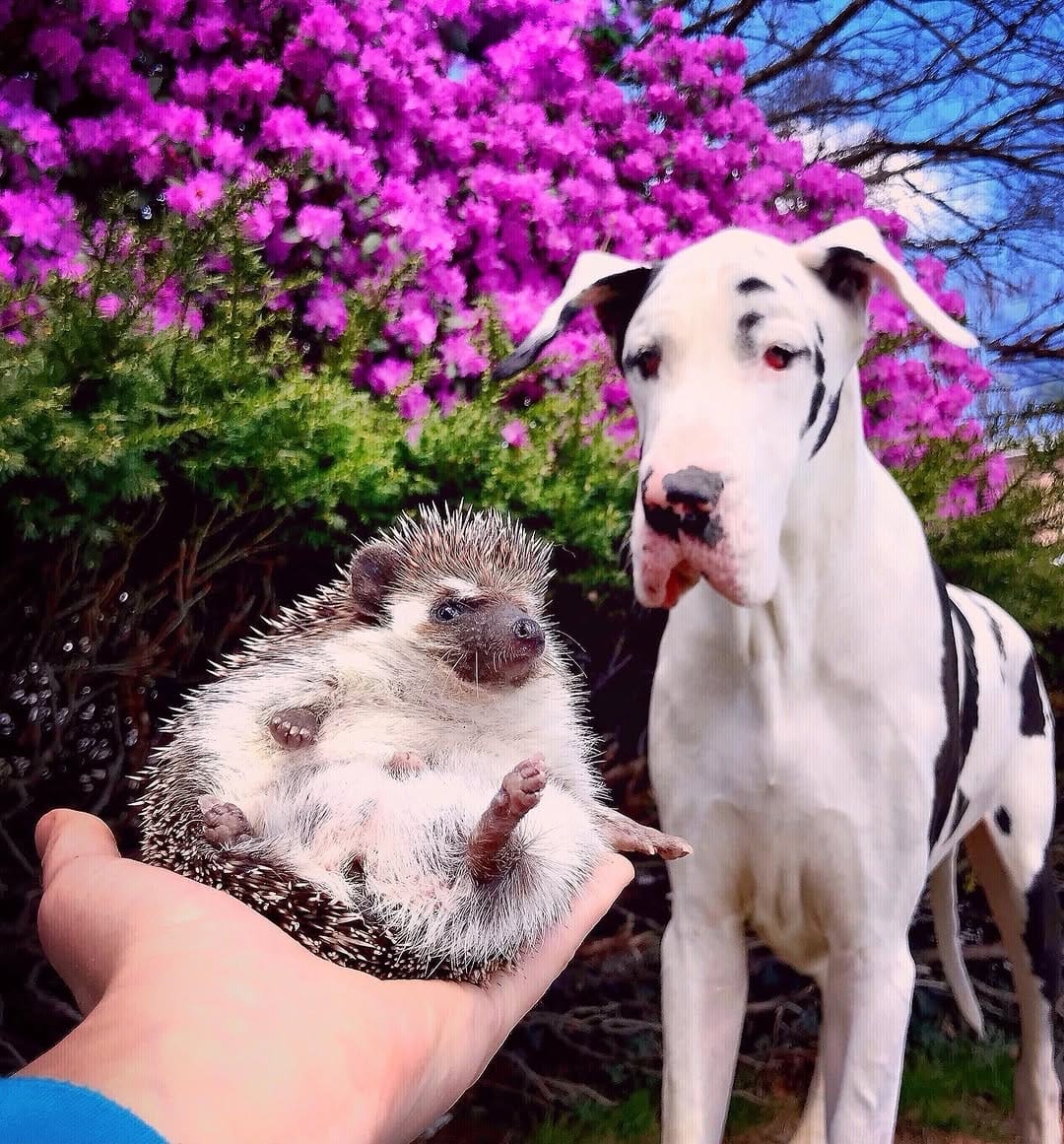 Post 3 by Kernel the Great on Instagram (carousel)