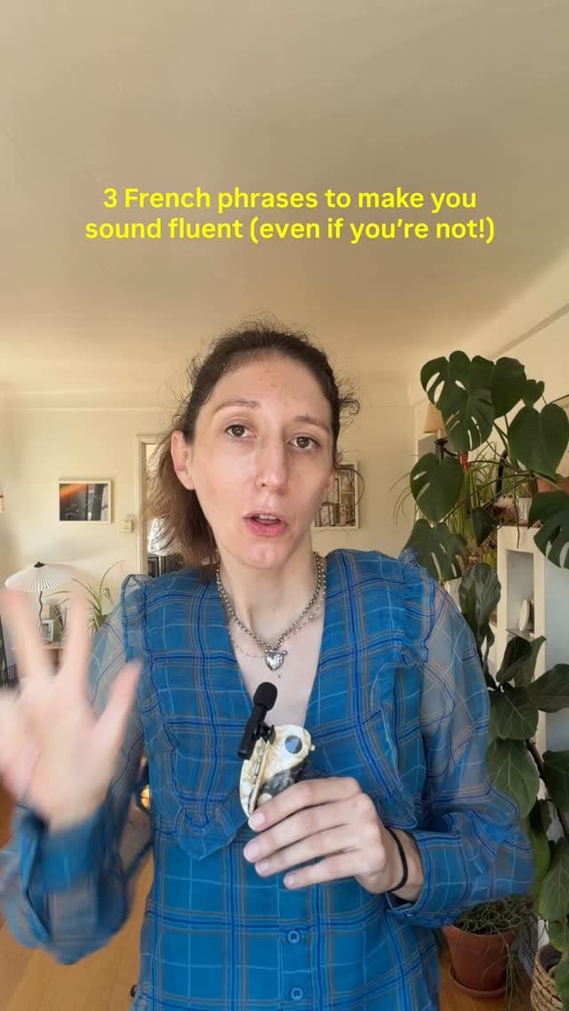 Post 3 by Little Miss Frenchie on Instagram (video)