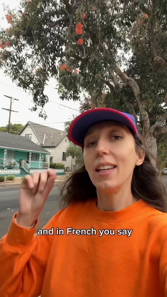 Post 8 by Little Miss Frenchie on Instagram (video)