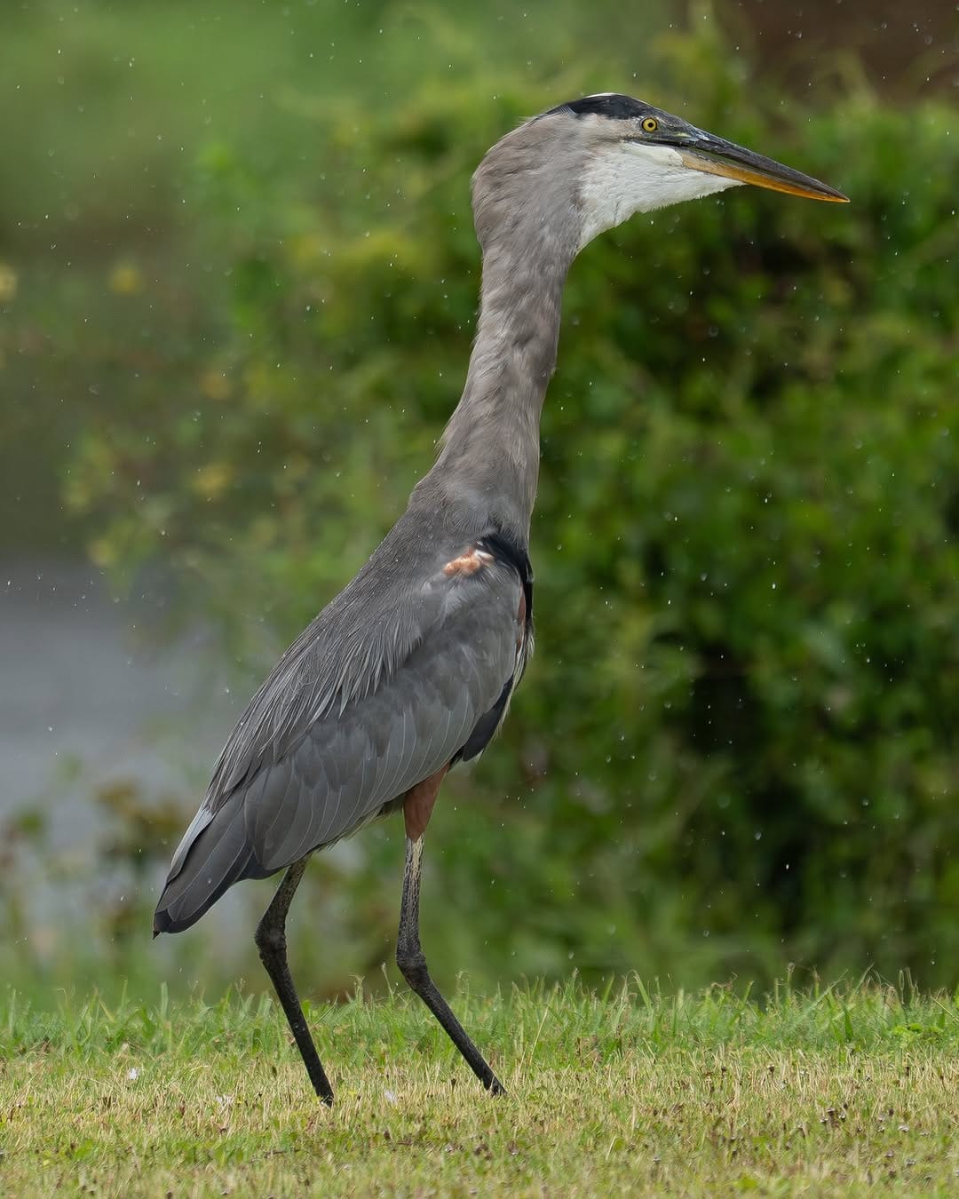 Post 3 by Matthew Blake | Landscape Photographer | Wildlife Photographer on Instagram (carousel)