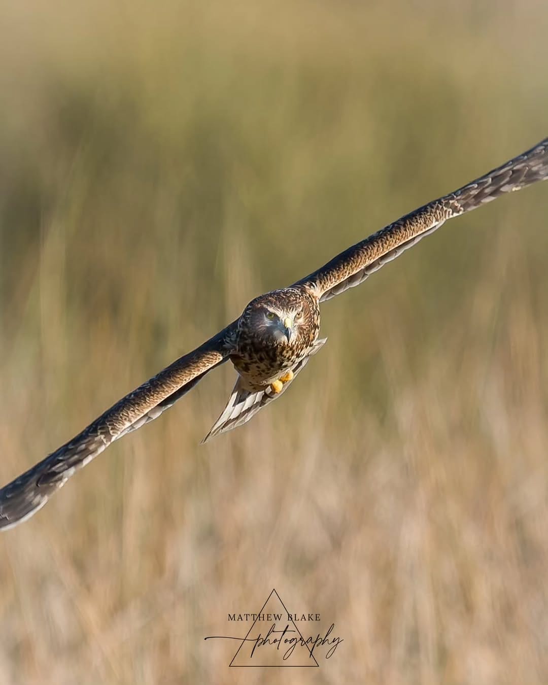 Post 9 by Matthew Blake | Landscape Photographer | Wildlife Photographer on Instagram (image)