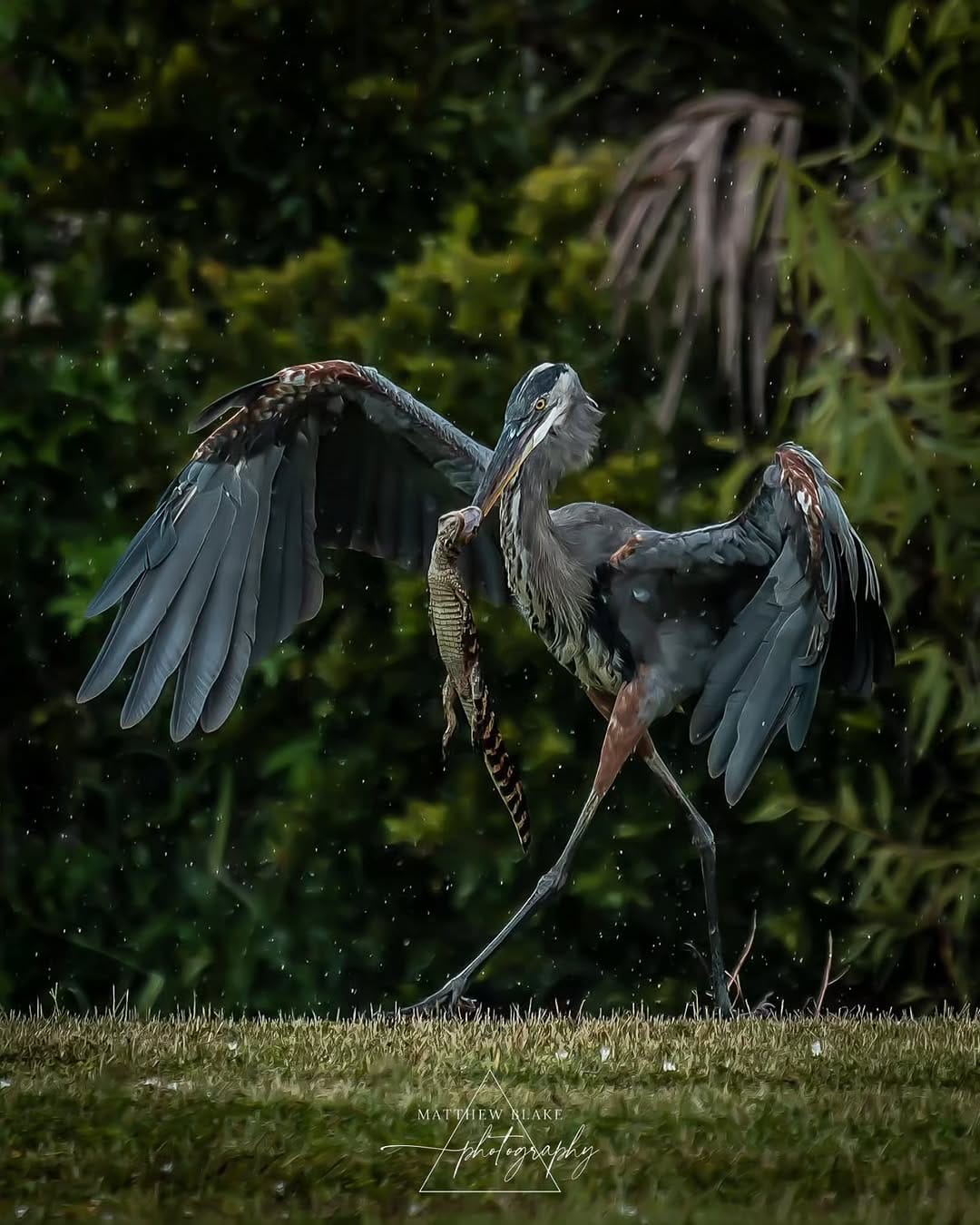 Post 2 by Matthew Blake | Landscape Photographer | Wildlife Photographer on Instagram (image)