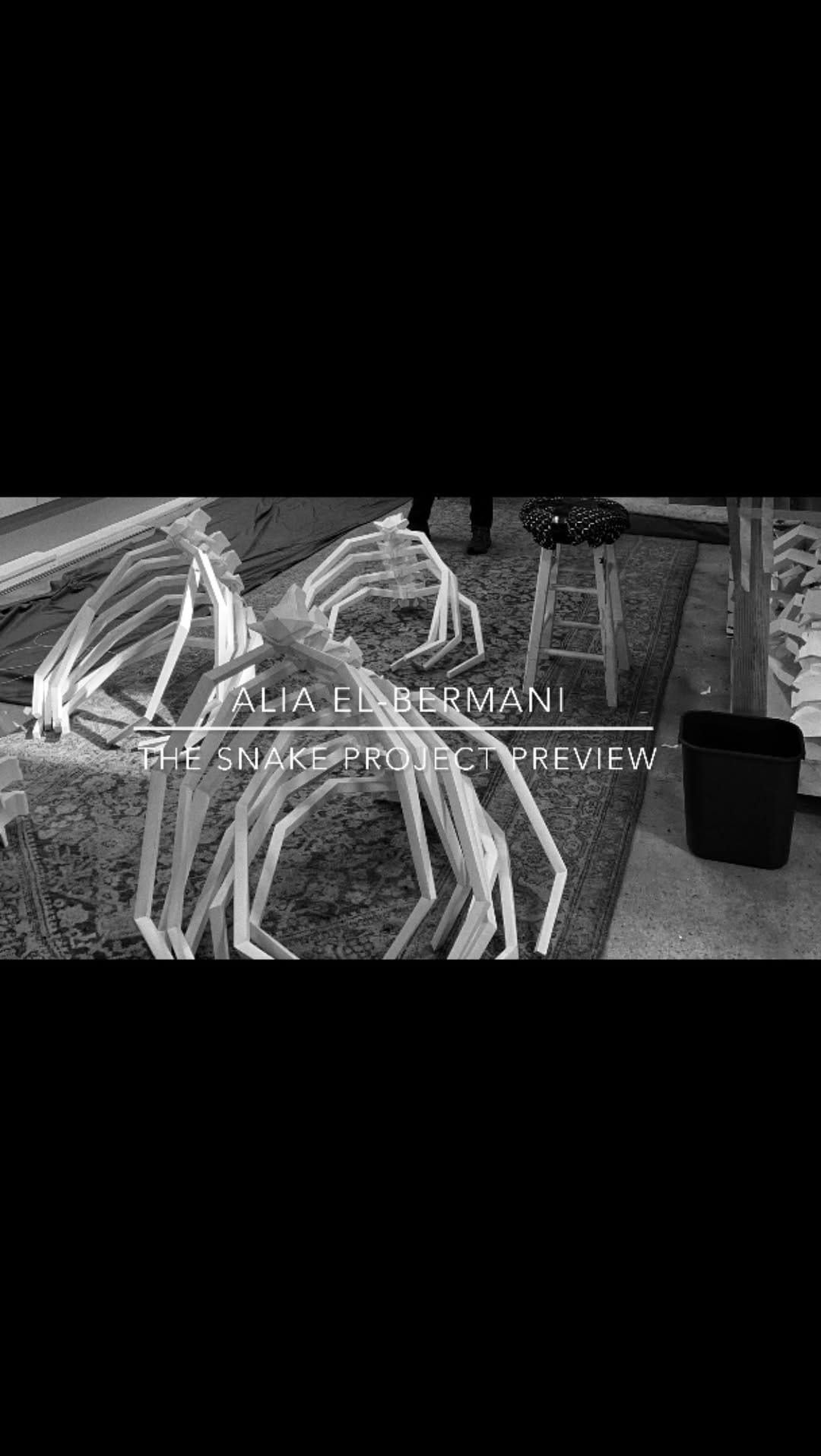 Post 10 by Alia El-Bermani on Instagram (video)