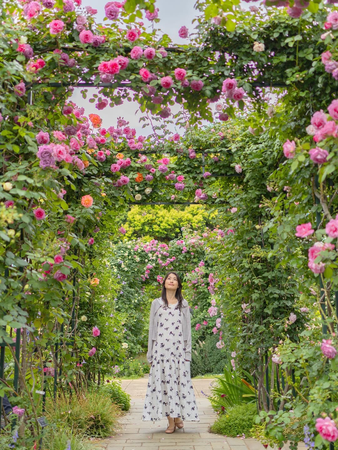 Post 4 by Akane Sekiya | Photographer, Writer on Instagram (carousel)